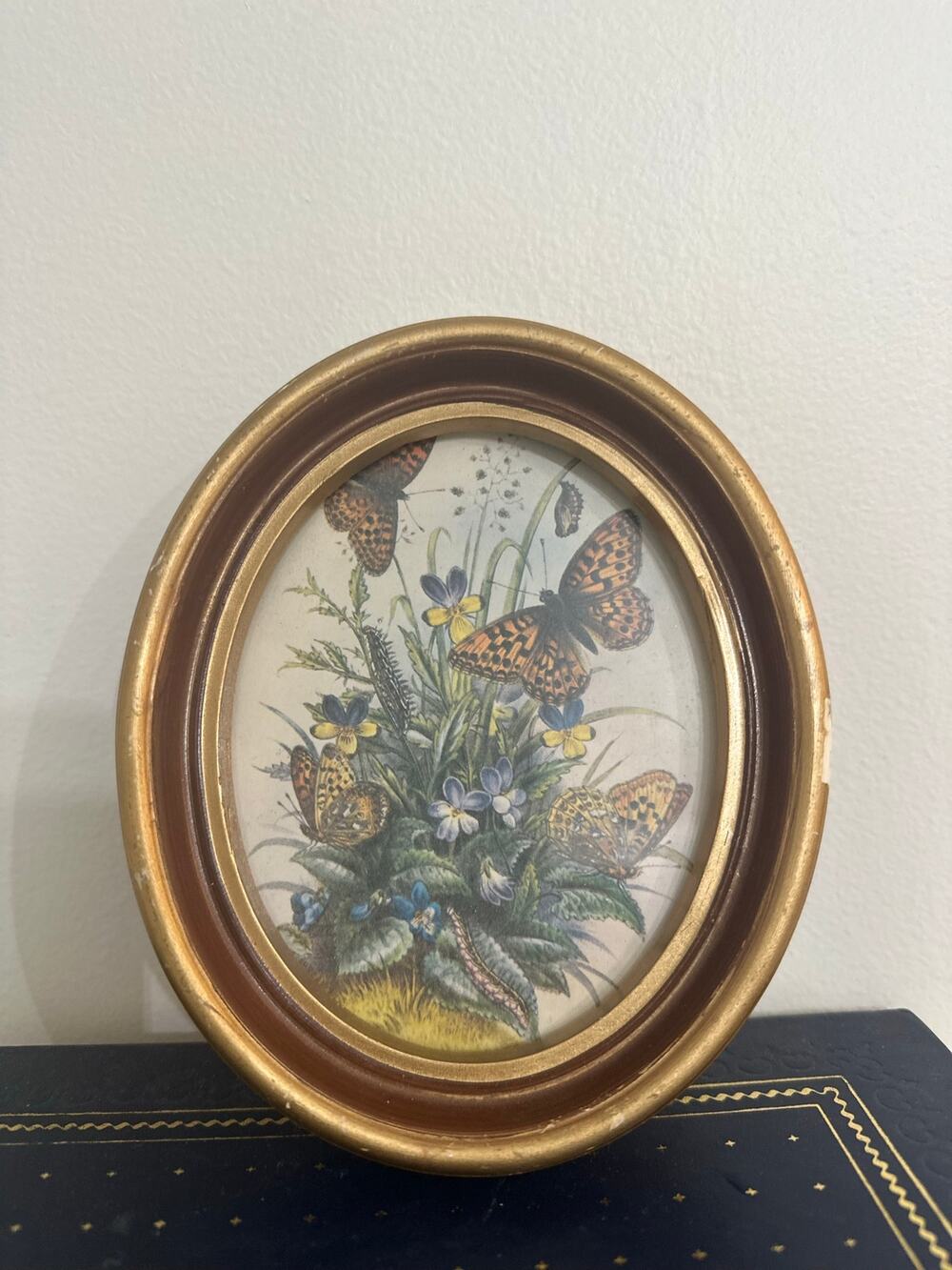 Vintage Set Of 2  Oval Framed Art Botanical Butterfly Imagery Gold Gild Frame